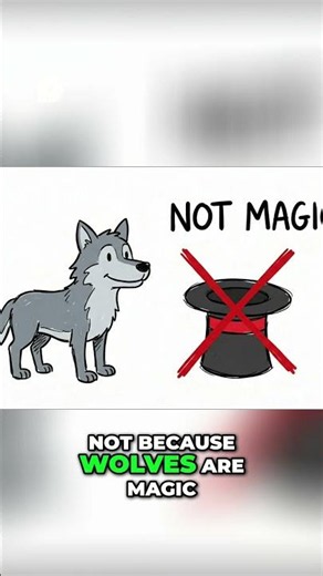 Why Wolves Matter More Than You Think