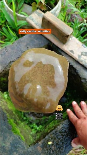 Lakukan setiap hari , kenapa? Cek di vt #catfish #farming #agriculture