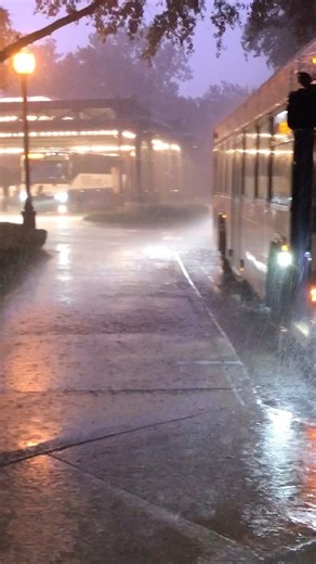 33K views · 841 reactions | ⛈️ Sitting at the bus stop  at Port...