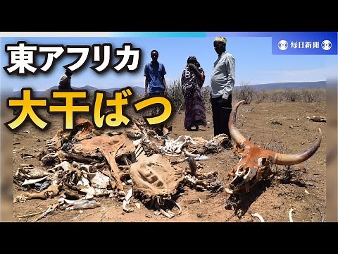 東アフリカ3か国、約40年ぶりの大干ばつ 地球規模の気候変動が一因