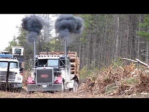 Pete 359 Classic Takeoff