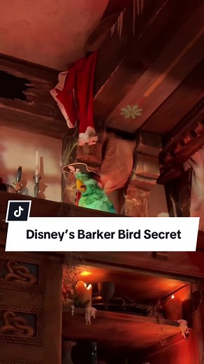 Disney's Peg-Leg Parrot: A Tribute to Walt?
