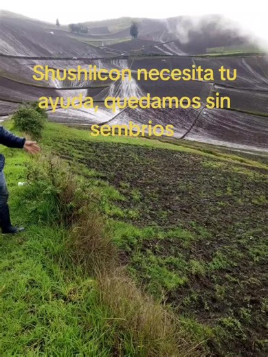 La lucha por los sembrios: Necesitamos tu ayuda