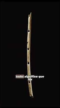 🎶 La flauta más antigua del mundo: 42.000 años de historia