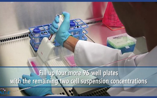 「Protocol」细胞转染实验Kill Curve；Transfection；Transfected Cell Lines Selection