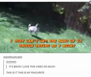 14K views · 276 reactions | Oh poor thing! But it's still hilarious. :D | Pug Heaven | Facebook