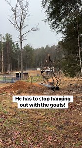 Why does he need to do dangerous things? | Cotton Bean Farms