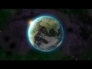 Chop Socky Chooks Trailer