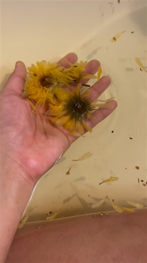 La•Tina | 5 things that made my postpartum healing process that much smoother 🌸 Placenta Encapsulation - Encapsulating my own placenta gave me so... | Instagram