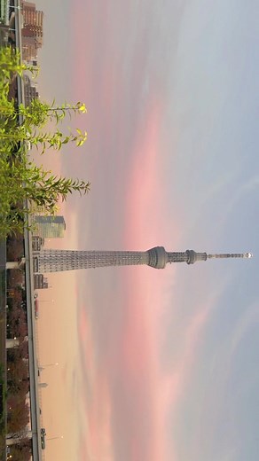 Discovering Japan's Natural Beauty at Sunrise