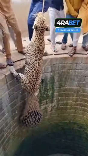 kiran wakade on Instagram: "Leopard Growl Freeze — Panic Step Back Disaster! 😨🐆💦 A deep growl echoes from below. Villagers freeze in fear, then instinctively step back together. The soft edge gives way, dropping everyone into the water. #leopardgrowl #panicstep #wellchaos #shorts"