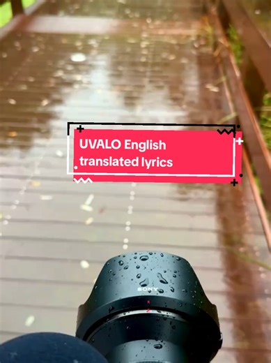 UVALO English translated lyrics video #chubixlyrics🐸 #lyricsvideo #englishtranslation #southafricatiktok🇿🇦