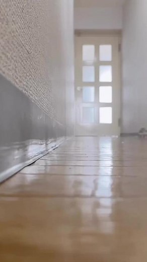 Hedgehog Habits: Why They Need Peaceful Mornings