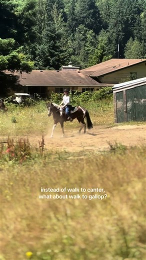Exploring Walk to Gallop Transitions in Equestrian Riding