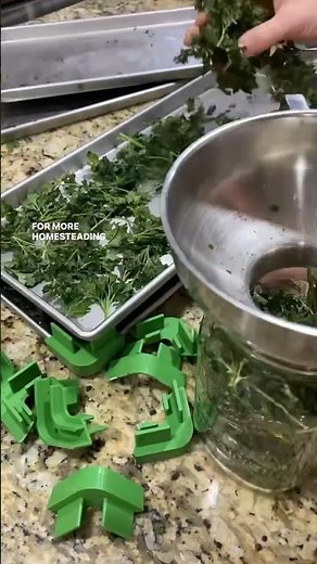 How To Freeze Dry Herbs