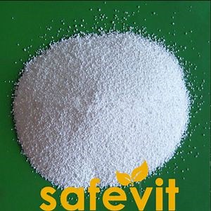 [Hot Item] Premium Microencapsulated Citric Acid Powder for Food Use