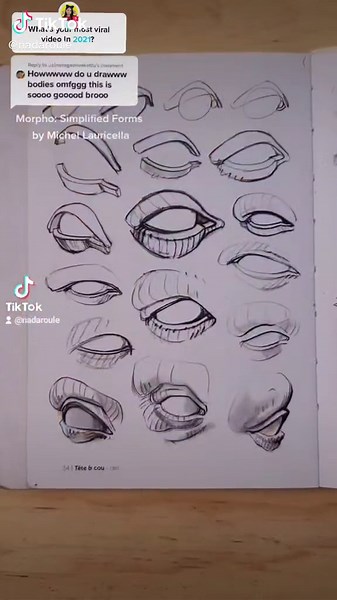 Best Anatomy Book for Beginners - Learn Morpho Anatomy Easily!