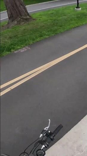 Specialized Crossroads eBike Conversion