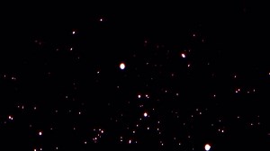 Loop flow up white glow particles sparks