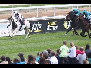 Silvery Moon: Der schnellste Schecke der Welt