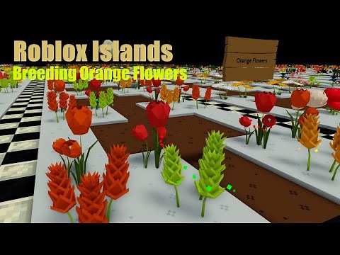 How To Breed Orange Flowers In Roblox Islands