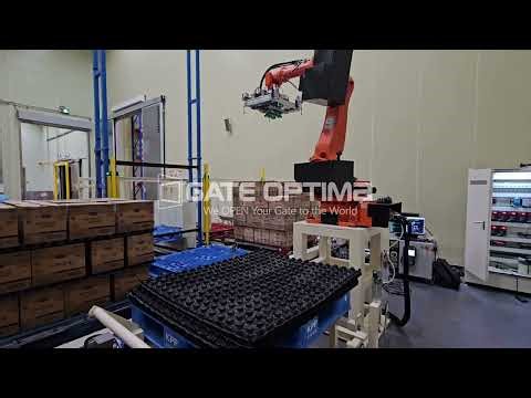 [OPTIMA] 현대로보틱스 HS220 로봇 AI 비전 박스 디팔레타이징, 리팔레타이징 시스템