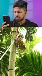 COCONUT CUTTING MACHINE 😍