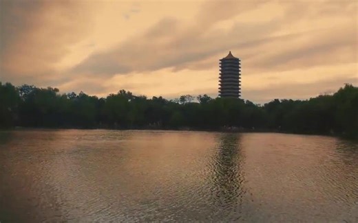 【北京大学】北京大学人文社会科学研究院线上讲座合集【2020年春季学期】