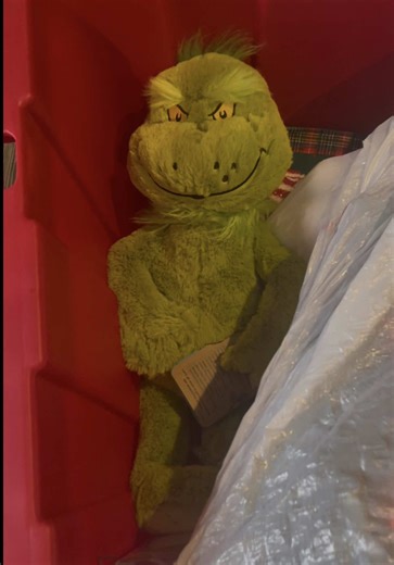 Time to take down the tree that I’ve been putting off these past few days and retire Mr. Grinch to the Christmas box until next Christmas. #christmas #grinch #newbeginnings #newyear #goodbye2025