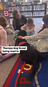 1.4K views · 27 reactions | Thanks to the support of the Baby Doge Coin community, we're highlighting Scout for this week's #therapyanimalthursday. Her tail never stops wagging 殺 #therapydog #doglovers #dogsofinstagram #petpartnerstherapypets | Pet Partners | Facebook