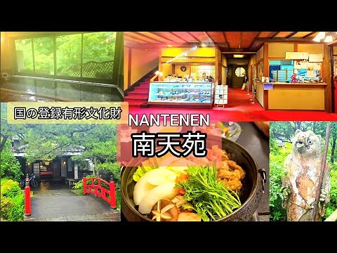 【大阪府河内長野市】南北朝時代から続く温泉地 天見温泉 南天苑 池にイモリ Amami Spa NANTENEN kawachinagano Osaka