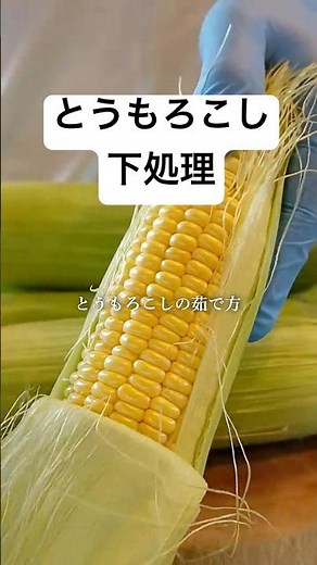 【とうもろこしの茹で方】