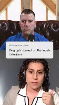 Nervous Puppy Reacting? How You React Matters