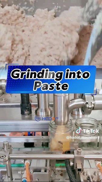 Garlic Processing Equipment and Techniques Explained