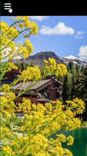 😽 Side Navbar with Only HTML CSS #htmlcss #coding #uidesignlearning #codewithsalah