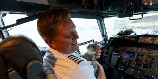 Airline Pilot Meets A Homeless Kitten And Adopts Her On The Plane