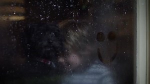 137K views · 332 reactions | At Petbarn we’re here to help your pet make you the best human you can be. | Petbarn | Facebook