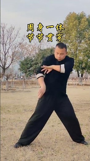 Master the Art of Bagua Zhang: A Comprehensive Journey Unveiled