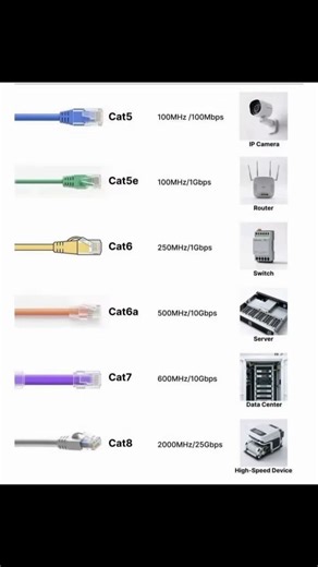 CAT CABLES!!! #ccna #cable
