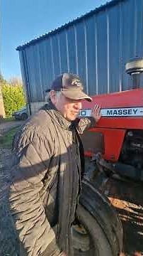 Massey ferguson 390, a real good handy tractor.