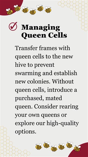 2.3K views · 12 reactions | Ready to expand your apiary?  Splitting...