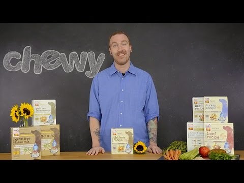 The Honest Kitchen Dehydrated Dog Food | Chewy