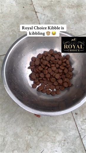 Spend on your furry friends 😆 Check out Royal Choice (Adult)15kg Kibbles. Containing 30% protein 20% fat Supports omega 6 & 3 Surpports healthy bones and muscle function 💯 #royalchoicedogfood #royalchoice #dogfood #premiumdogfood #fyp #foryoupage #naturaldogfood #dryfood