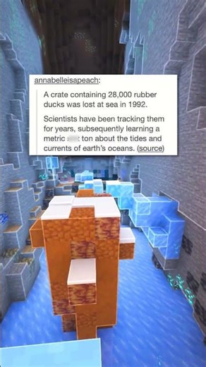 28,000 Ducks Lost 🦆