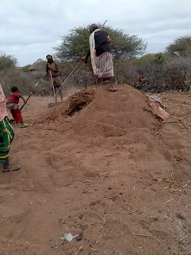 Traditional Earth Mound Construction in Rural Setting