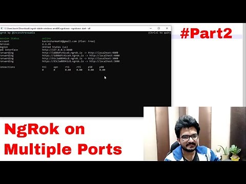 How to Run Ngrok on Multiple Ports in single system/pc for free !! #Part2