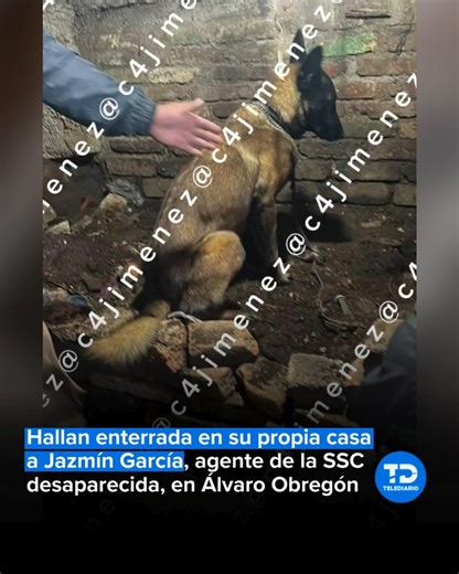 🚨👮‍♀️ El hallazgo del cuerpo de Jazmín García, agente en activo de la Secretaría de Seguridad Ciudadana (SSC), ha generado consternación en la Ciudad de México. La oficial, reportada como desaparecida desde hace más de 15 días, fue localizada enterrada en su propia casa, ubicada en la alcaldía Álvaro Obregón, con el apoyo de binomios caninos. 👤 Por este crimen, la Fiscalía General de Justicia de la CdMx detuvo a un hombre identificado como José “N”, presunto expolicía y expareja sentimental d