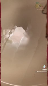 54 reactions · 19 shares | Mole #Tiktok #mexicanfood PRINTABLE RECIPE https://pinaenlacocina.com/puebla-style-mole-sauce-mole-poblano/ | La Piña En La Cocina | Facebook