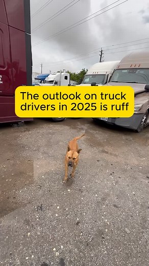 Finding and keeping qualified drivers starts with smart hiring and fair pay Carriers should review MVRs and PSP reports before onboarding and offer competitive rates per load or mile to retain dependable drivers who keep freight moving | Simplex Group | Facebook