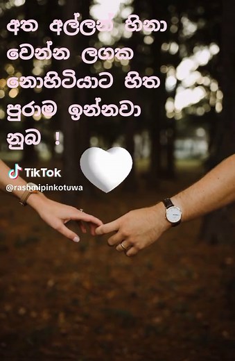 Romantic Moment in the Forest: A Love Story